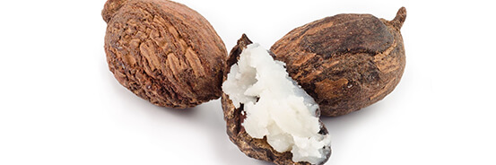 Le Beurre de Karité